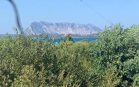 La Cinta San Teodoro (sardinia)