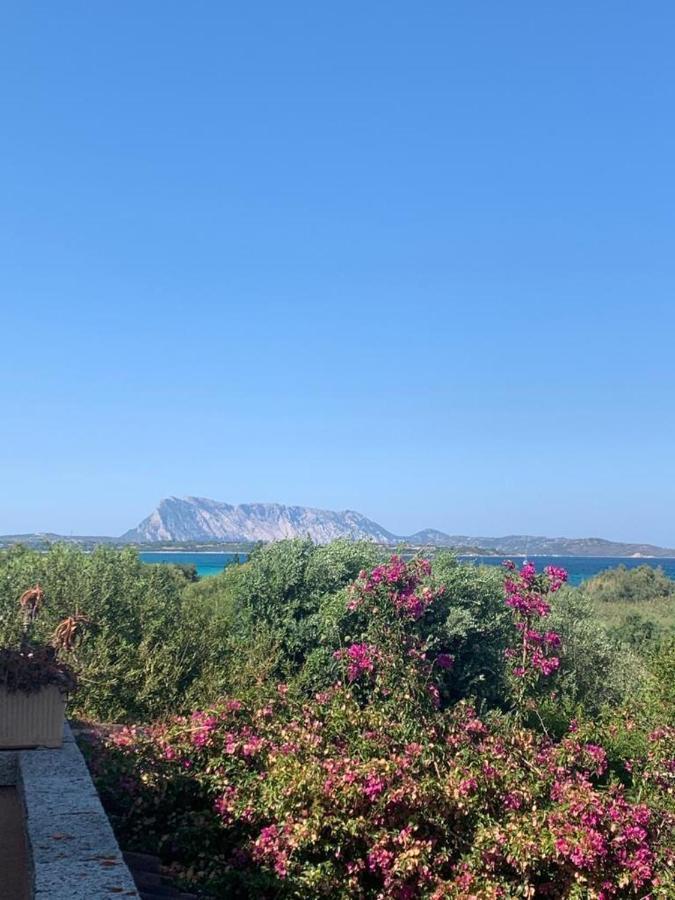 La Cinta Villa San Teodoro  Esterno foto