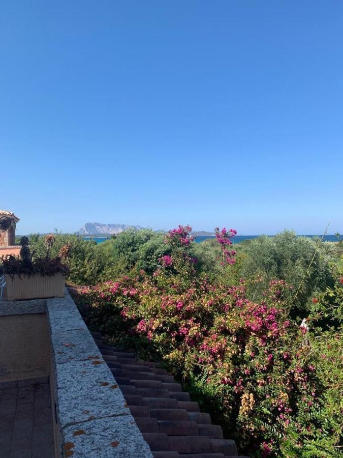 La Cinta Villa San Teodoro  Esterno foto